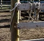 Bar C Ranch